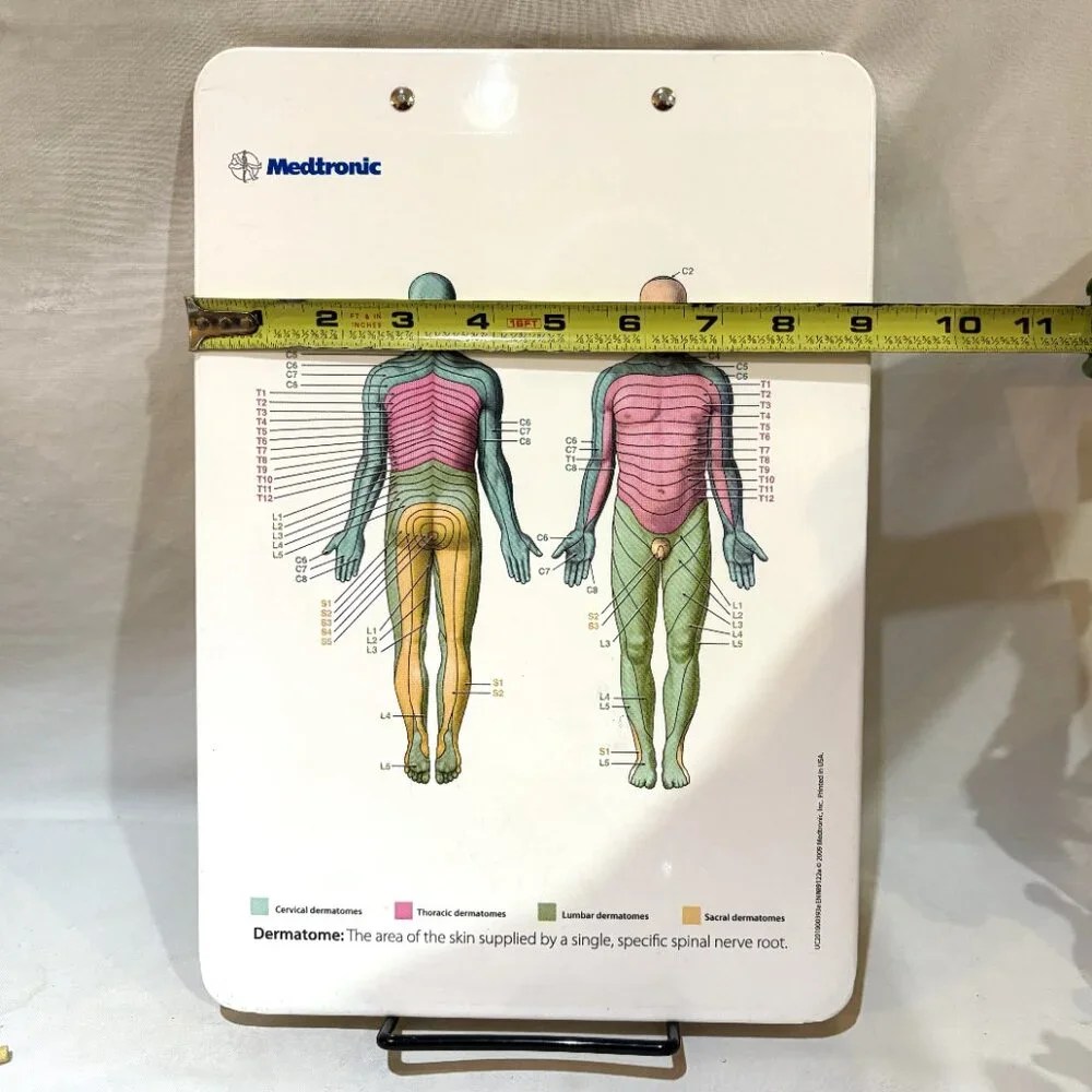 Medtronic Pharmaceutical Drug Rep Acrylic Clipboard Dermatomes Chart